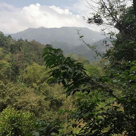Moselberg Riverside Cottages Munnar Szoba fotó