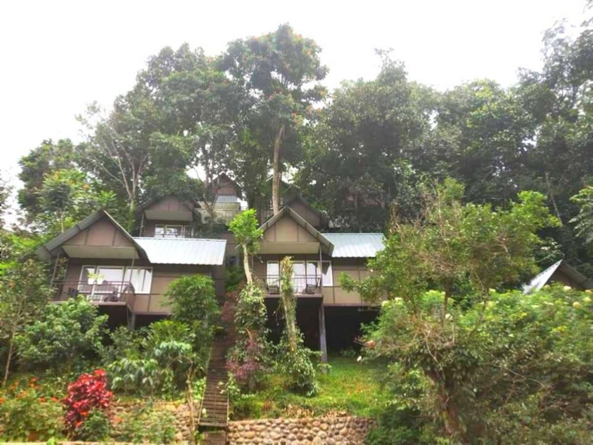 Moselberg Riverside Cottages Munnar Kültér fotó