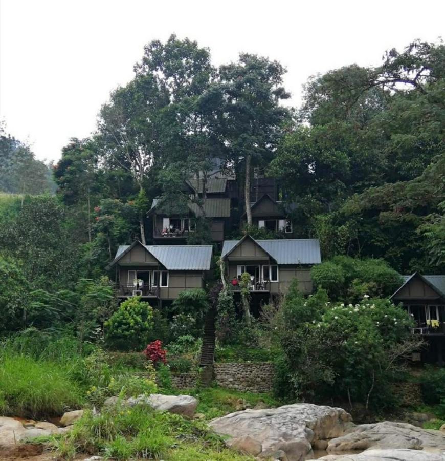 Moselberg Riverside Cottages Munnar Kültér fotó