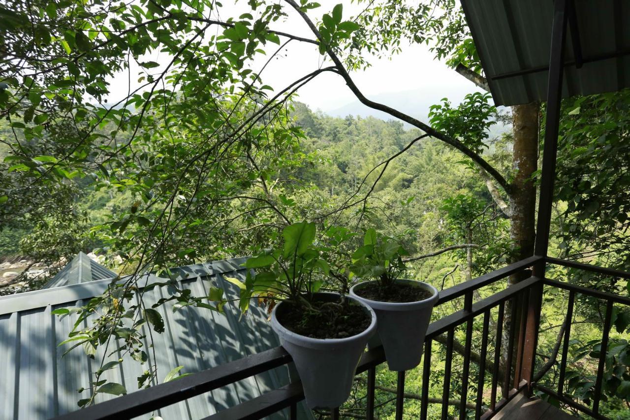 Moselberg Riverside Cottages Munnar Kültér fotó