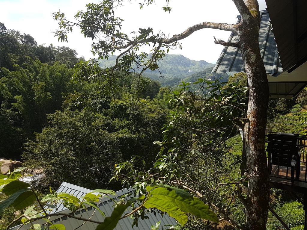 Moselberg Riverside Cottages Munnar Kültér fotó