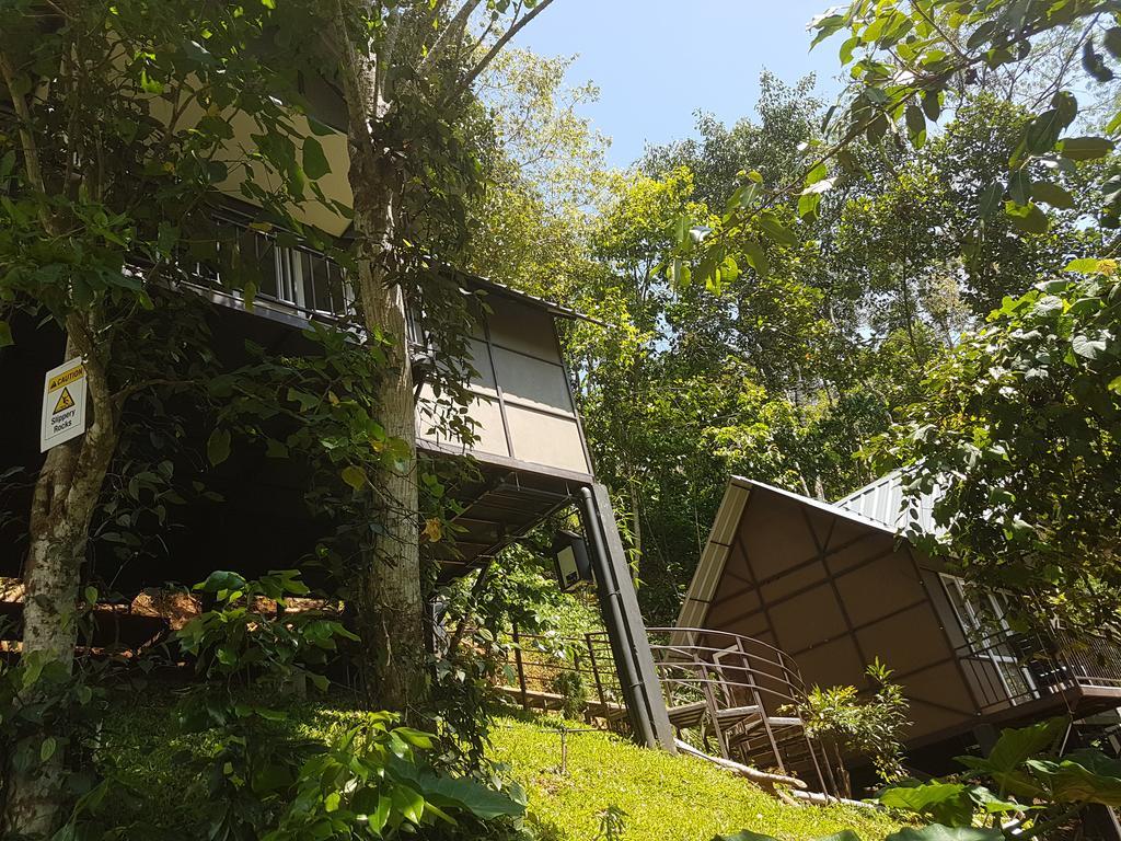 Moselberg Riverside Cottages Munnar Kültér fotó