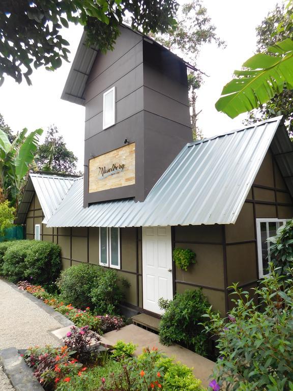 Moselberg Riverside Cottages Munnar Kültér fotó