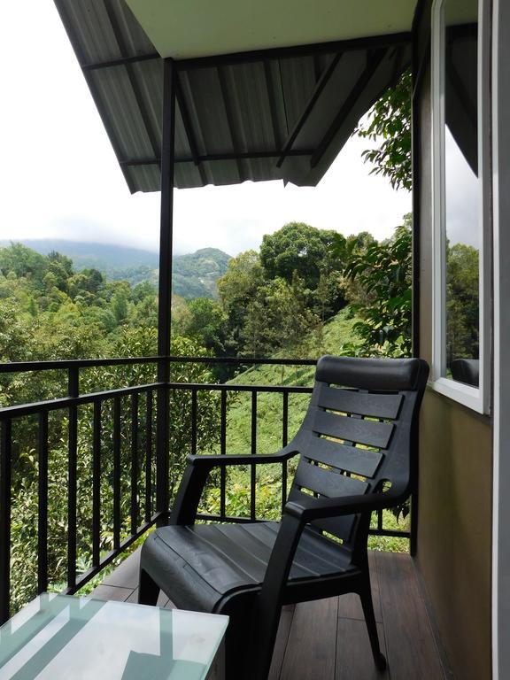 Moselberg Riverside Cottages Munnar Kültér fotó