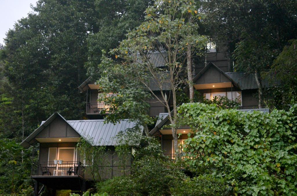 Moselberg Riverside Cottages Munnar Kültér fotó