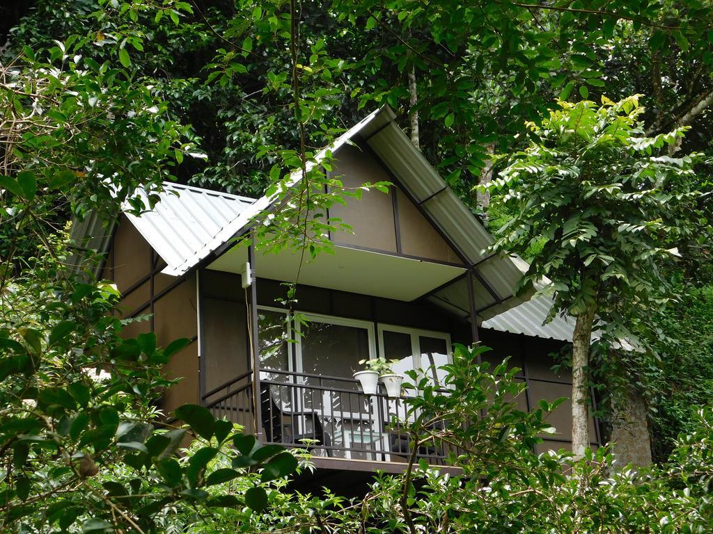 Moselberg Riverside Cottages Munnar Kültér fotó