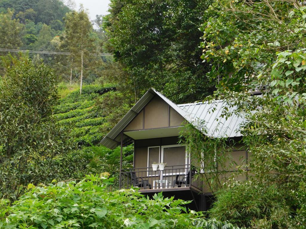 Moselberg Riverside Cottages Munnar Kültér fotó
