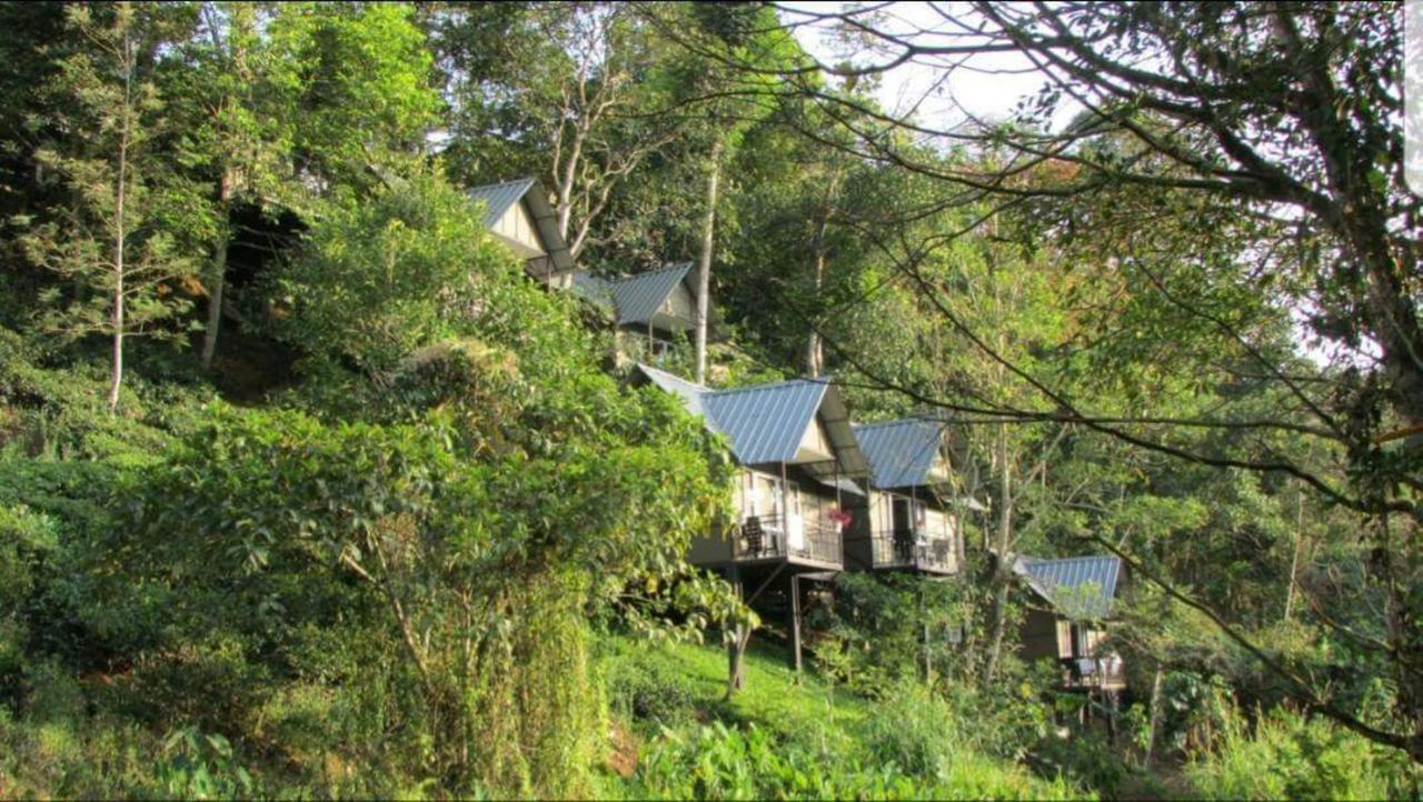 Moselberg Riverside Cottages Munnar Kültér fotó