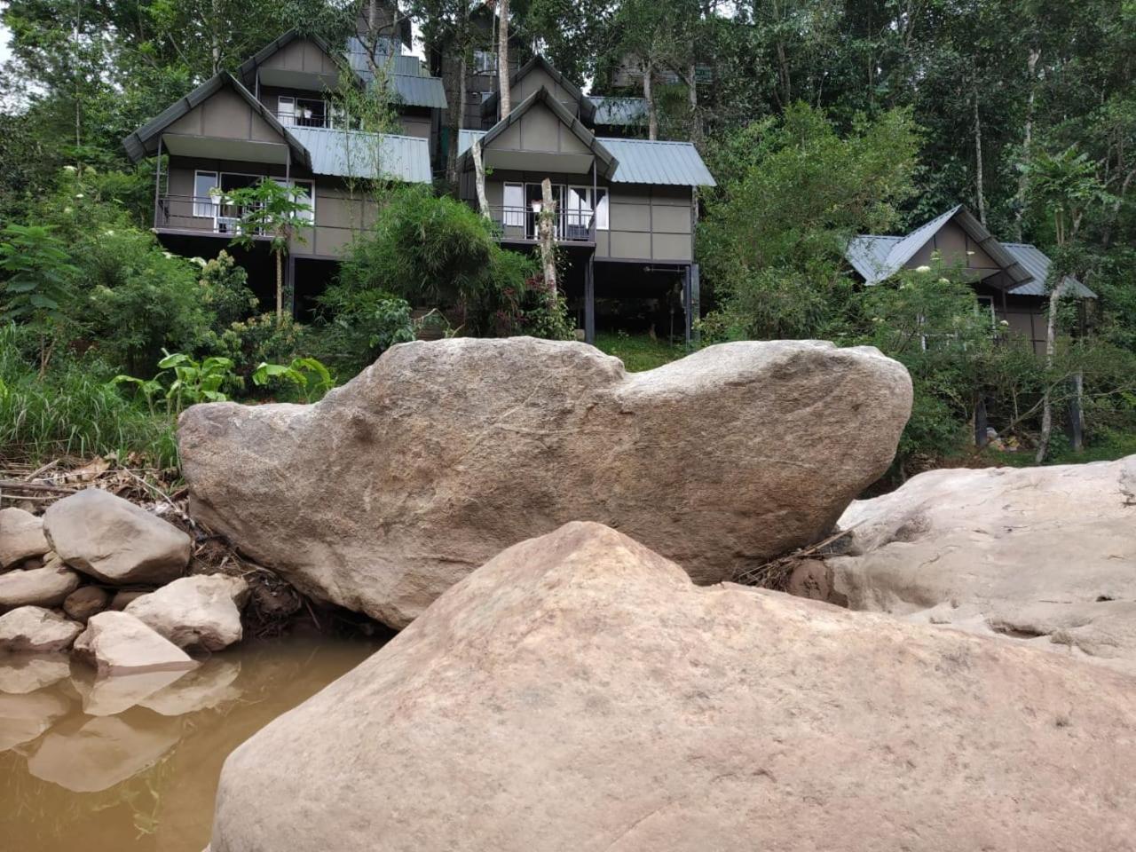 Moselberg Riverside Cottages Munnar Kültér fotó