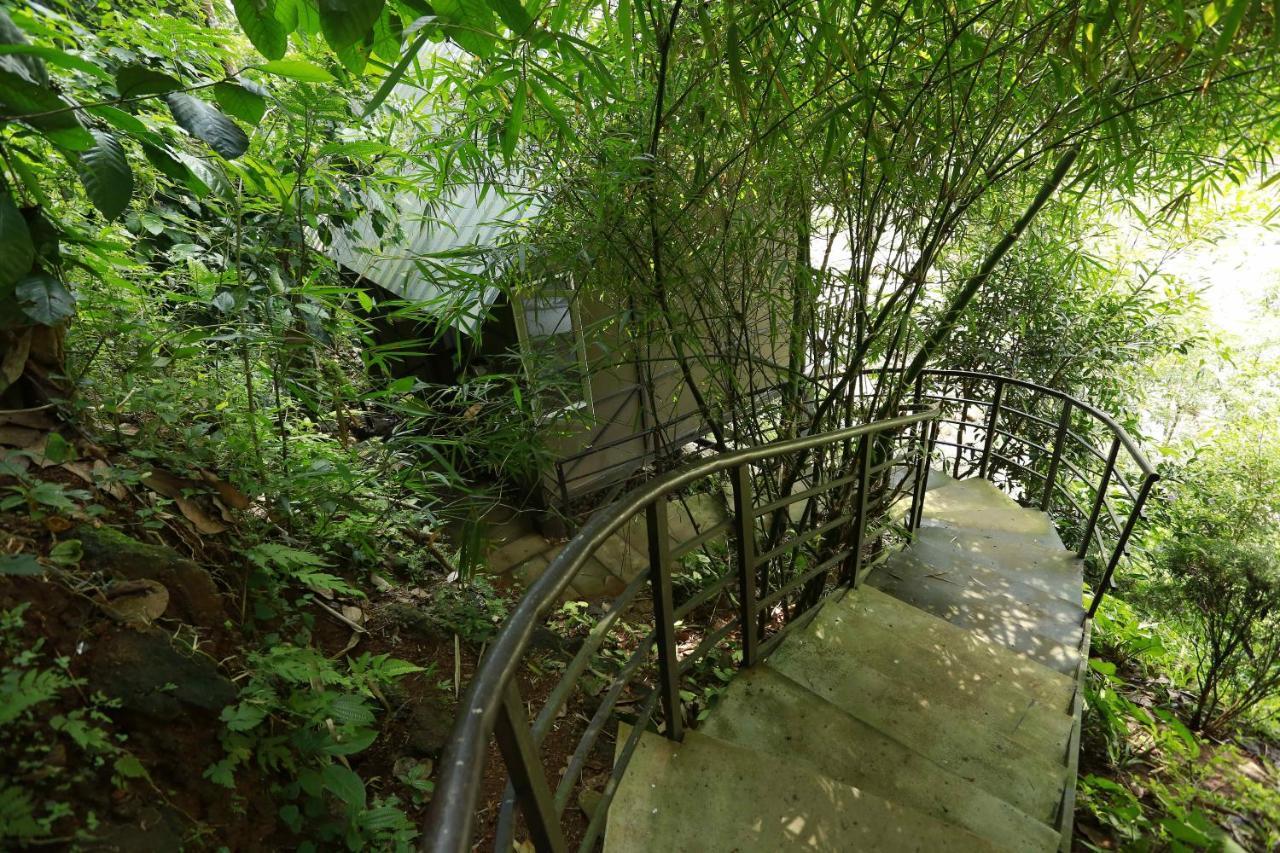 Moselberg Riverside Cottages Munnar Kültér fotó