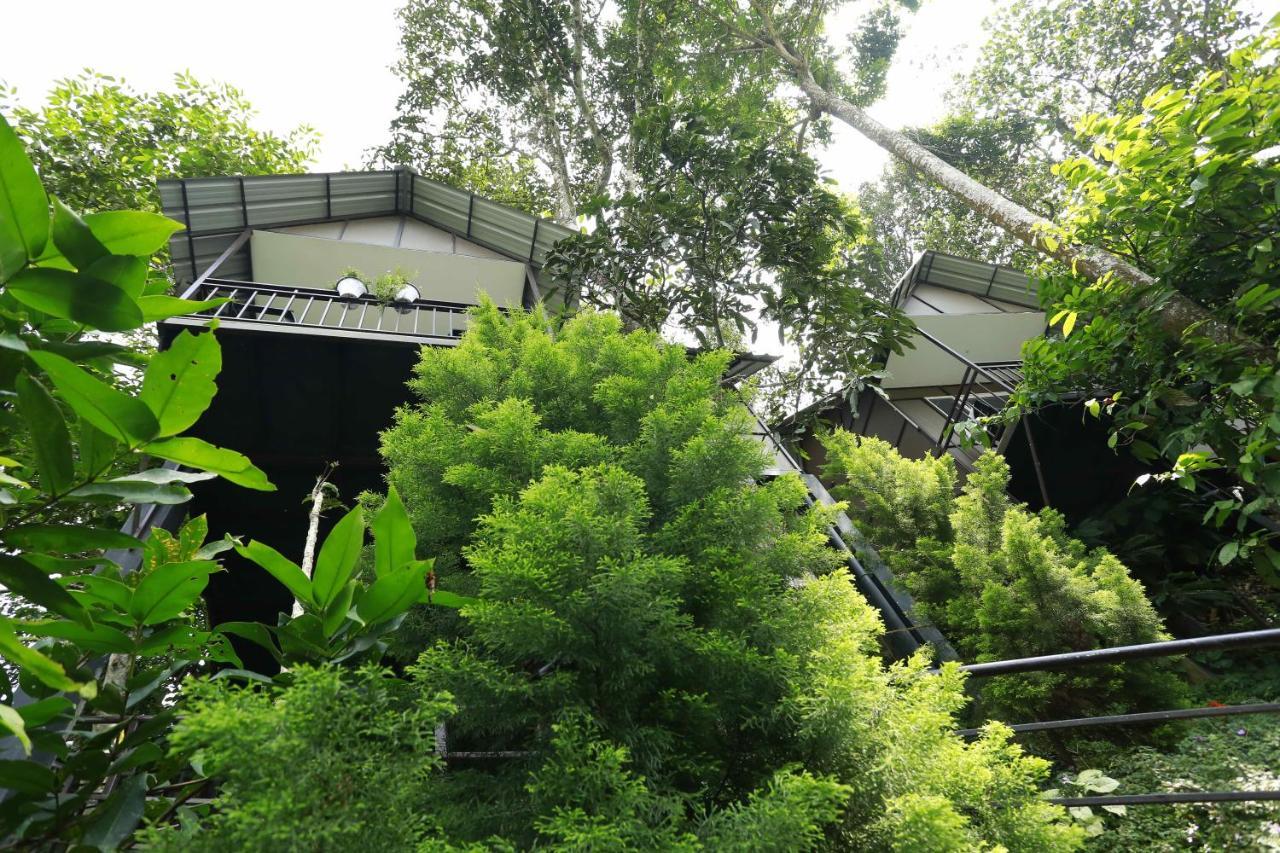 Moselberg Riverside Cottages Munnar Kültér fotó
