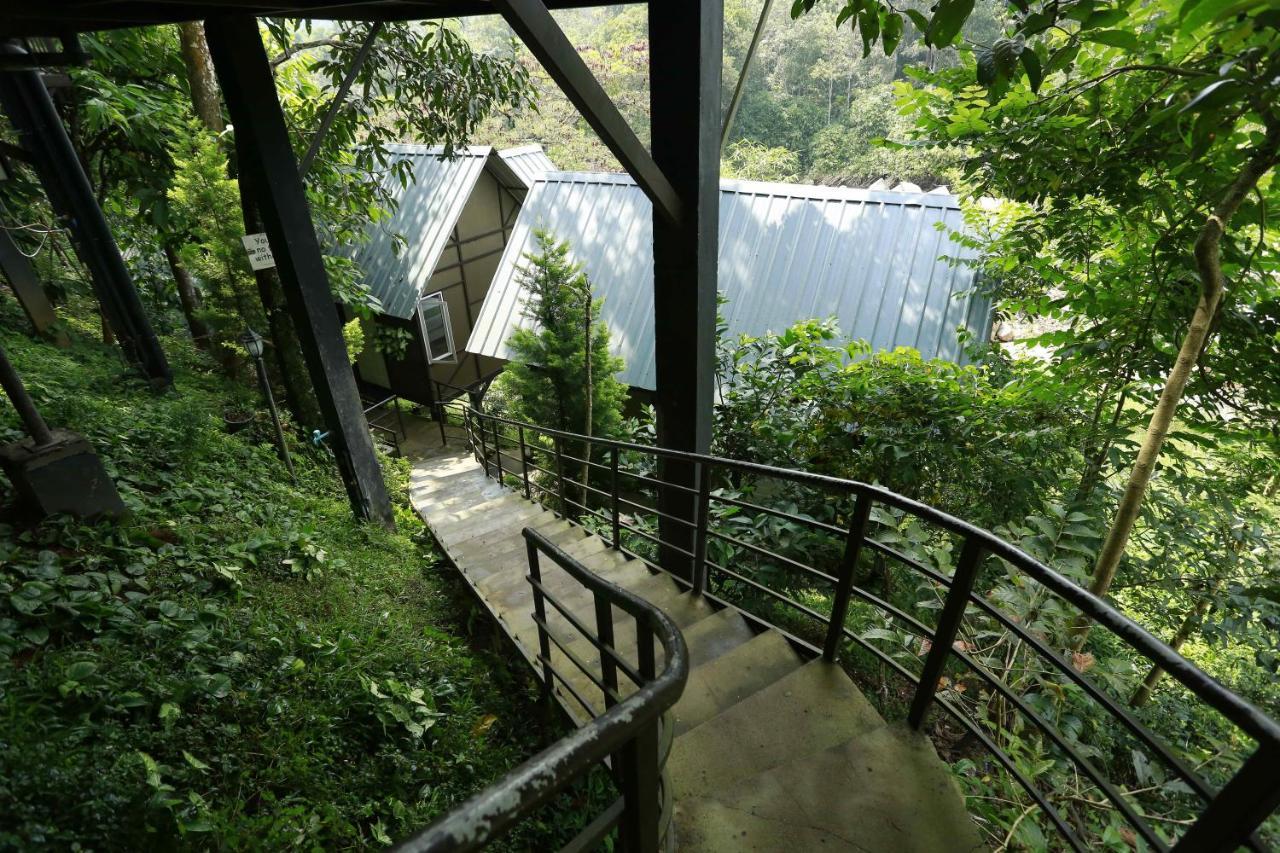 Moselberg Riverside Cottages Munnar Kültér fotó